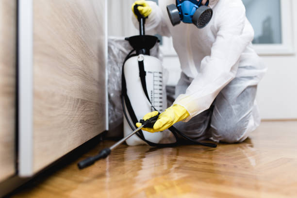 Flea Control Services in Valentine, NE
