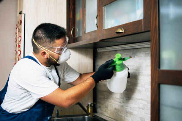 Best Best Pest Control Companies  in Valenti, NE